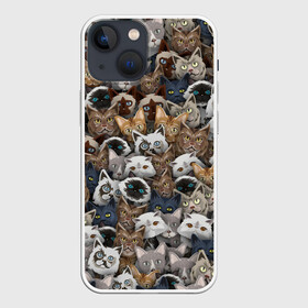 Чехол для iPhone 13 mini с принтом Коты разных пород в Новосибирске,  |  | бенгальский | кот | котик | котики | кошка | мейн кун | паттерн | персидский | сиамский | сфинкс