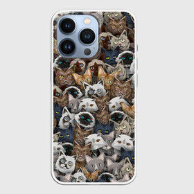 Чехол для iPhone 13 Pro с принтом Коты разных пород в Новосибирске,  |  | бенгальский | кот | котик | котики | кошка | мейн кун | паттерн | персидский | сиамский | сфинкс