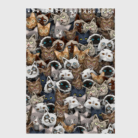 Скетчбук с принтом Коты разных пород в Новосибирске, 100% бумага
 | 48 листов, плотность листов — 100 г/м2, плотность картонной обложки — 250 г/м2. Листы скреплены сверху удобной пружинной спиралью | Тематика изображения на принте: бенгальский | кот | котик | котики | кошка | мейн кун | паттерн | персидский | сиамский | сфинкс