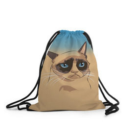 Рюкзак-мешок 3D с принтом Grumpy cat ART в Новосибирске, 100% полиэстер | плотность ткани — 200 г/м2, размер — 35 х 45 см; лямки — толстые шнурки, застежка на шнуровке, без карманов и подкладки | cat | grumpy | грустный кот | киса | кот | котэ | котяра | кошка | мем | сердитый кот
