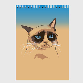 Скетчбук с принтом Grumpy cat ART в Новосибирске, 100% бумага
 | 48 листов, плотность листов — 100 г/м2, плотность картонной обложки — 250 г/м2. Листы скреплены сверху удобной пружинной спиралью | cat | grumpy | грустный кот | киса | кот | котэ | котяра | кошка | мем | сердитый кот