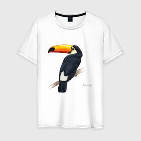Мужская футболка хлопок с принтом Тукан в Новосибирске, 100% хлопок | прямой крой, круглый вырез горловины, длина до линии бедер, слегка спущенное плечо. | птица | птицы | с птицей | тукан | экзотика