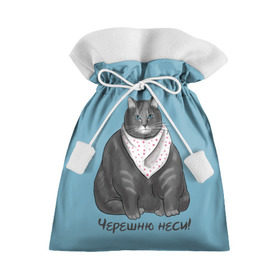 Подарочный 3D мешок с принтом Черешню неси! в Новосибирске, 100% полиэстер | Размер: 29*39 см | еда | кот | кушать | мем | черешня