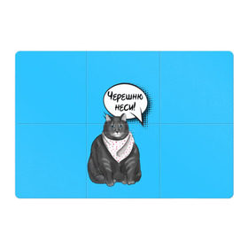 Магнитный плакат 3Х2 с принтом Толстый кот в Новосибирске, Полимерный материал с магнитным слоем | 6 деталей размером 9*9 см | еда | кот | кушать | мем | черешня