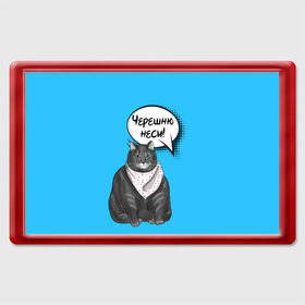 Магнит 45*70 с принтом Толстый кот в Новосибирске, Пластик | Размер: 78*52 мм; Размер печати: 70*45 | Тематика изображения на принте: еда | кот | кушать | мем | черешня