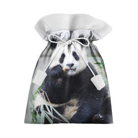 Подарочный 3D мешок с принтом Большая панда в Новосибирске, 100% полиэстер | Размер: 29*39 см | бамбук | белый | джунгли | дикое | животное | китай | лес | медведь | черный