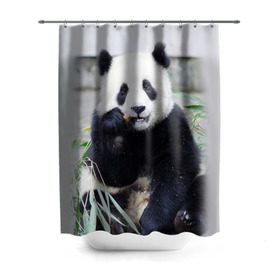 Штора 3D для ванной с принтом Большая панда в Новосибирске, 100% полиэстер | плотность материала — 100 г/м2. Стандартный размер — 146 см х 180 см. По верхнему краю — пластиковые люверсы для креплений. В комплекте 10 пластиковых колец | бамбук | белый | джунгли | дикое | животное | китай | лес | медведь | черный