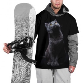Накидка на куртку 3D с принтом Милый котик в Новосибирске, 100% полиэстер |  | кот | котенок | кошка | милый | пушистый | черный