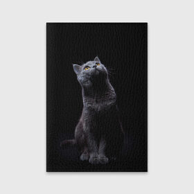 Обложка для паспорта матовая кожа с принтом Милый котик в Новосибирске, натуральная матовая кожа | размер 19,3 х 13,7 см; прозрачные пластиковые крепления | кот | котенок | кошка | милый | пушистый | черный