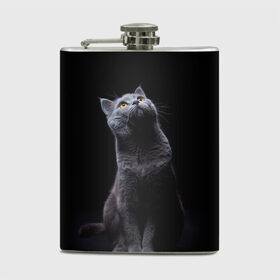 Фляга с принтом Милый котик в Новосибирске, металлический корпус | емкость 0,22 л, размер 125 х 94 мм. Виниловая наклейка запечатывается полностью | кот | котенок | кошка | милый | пушистый | черный