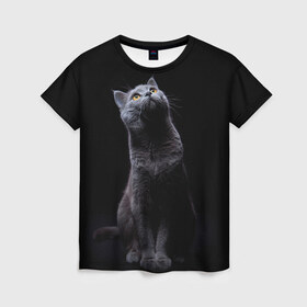 Женская футболка 3D с принтом Милый котик в Новосибирске, 100% полиэфир ( синтетическое хлопкоподобное полотно) | прямой крой, круглый вырез горловины, длина до линии бедер | кот | котенок | кошка | милый | пушистый | черный