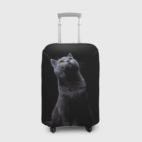 Чехол для чемодана 3D с принтом Милый котик в Новосибирске, 86% полиэфир, 14% спандекс | двустороннее нанесение принта, прорези для ручек и колес | кот | котенок | кошка | милый | пушистый | черный