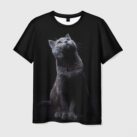 Мужская футболка 3D с принтом Милый котик в Новосибирске, 100% полиэфир | прямой крой, круглый вырез горловины, длина до линии бедер | кот | котенок | кошка | милый | пушистый | черный