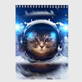 Скетчбук с принтом КОТ АСТРОНАВТ в Новосибирске, 100% бумага
 | 48 листов, плотность листов — 100 г/м2, плотность картонной обложки — 250 г/м2. Листы скреплены сверху удобной пружинной спиралью | astronaut | cat | space | животные | космос | кот | кот астронавт