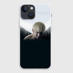 Чехол для iPhone 13 mini с принтом BTS в Новосибирске,  |  | bts | bts army | j hope | jimin | jin | jungkook | k pop | rap monster | rapmon | suga | v | бтс | группа | корея