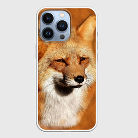 Чехол для iPhone 13 Pro с принтом Лисичка в Новосибирске,  |  | животные | зверь | лиса | лисичка | природа | рыжая | фыр
