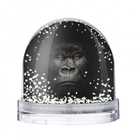 Водяной шар с принтом Горилла 3D в Новосибирске, Пластик | Изображение внутри шара печатается на глянцевой фотобумаге с двух сторон | горилла | животные | обезьянка