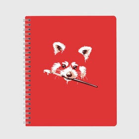 Тетрадь с принтом Красная панда в Новосибирске, 100% бумага | 48 листов, плотность листов — 60 г/м2, плотность картонной обложки — 250 г/м2. Листы скреплены сбоку удобной пружинной спиралью. Уголки страниц и обложки скругленные. Цвет линий — светло-серый
 | енот | кисть | лиса | малая панда | художник