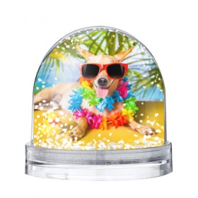 Водяной шар с принтом пляж в Новосибирске, Пластик | Изображение внутри шара печатается на глянцевой фотобумаге с двух сторон | sea | гавайи | лето | море | океан | отдых | очки | пляж | собака | той терьер
