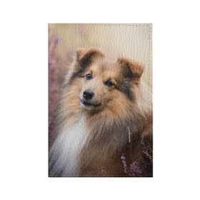 Обложка для паспорта матовая кожа с принтом Шелти в Новосибирске, натуральная матовая кожа | размер 19,3 х 13,7 см; прозрачные пластиковые крепления | Тематика изображения на принте: dog | взгляд | колли | собака