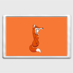 Магнит 45*70 с принтом Барышня Лиса в Новосибирске, Пластик | Размер: 78*52 мм; Размер печати: 70*45 | fox | foxes | girl | hoody | барышня | девочка | девушка | женщина | лис | лиса | лисица | лисицы | лисой | лисы | оранжевый | толстовка | худи