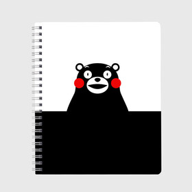 Тетрадь с принтом KUMAMON в Новосибирске, 100% бумага | 48 листов, плотность листов — 60 г/м2, плотность картонной обложки — 250 г/м2. Листы скреплены сбоку удобной пружинной спиралью. Уголки страниц и обложки скругленные. Цвет линий — светло-серый
 | japanese | kumamon | kumamoto | аниме | игрушка | кумамон | кумамото сапурайдзу | персонаж | талисман | япония