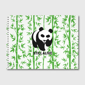 Альбом для рисования с принтом Still Alive в Новосибирске, 100% бумага
 | матовая бумага, плотность 200 мг. | alive | bamboo | green | greenpeace | panga | peace | still | бамбук | грин | гринпис | живая | живой | зеленый | мир | панда | панды | пис