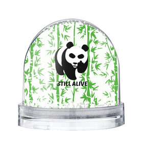 Снежный шар с принтом Still Alive в Новосибирске, Пластик | Изображение внутри шара печатается на глянцевой фотобумаге с двух сторон | Тематика изображения на принте: alive | bamboo | green | greenpeace | panga | peace | still | бамбук | грин | гринпис | живая | живой | зеленый | мир | панда | панды | пис
