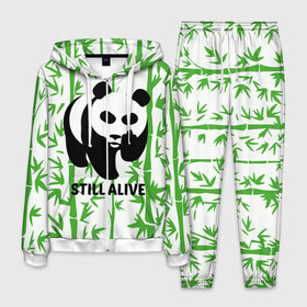 Мужской костюм 3D с принтом Still Alive в Новосибирске, 100% полиэстер | Манжеты и пояс оформлены тканевой резинкой, двухслойный капюшон со шнурком для регулировки, карманы спереди | alive | bamboo | green | greenpeace | panga | peace | still | бамбук | грин | гринпис | живая | живой | зеленый | мир | панда | панды | пис