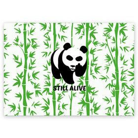 Поздравительная открытка с принтом Still Alive в Новосибирске, 100% бумага | плотность бумаги 280 г/м2, матовая, на обратной стороне линовка и место для марки
 | Тематика изображения на принте: alive | bamboo | green | greenpeace | panga | peace | still | бамбук | грин | гринпис | живая | живой | зеленый | мир | панда | панды | пис