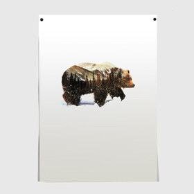 Постер с принтом Лесной Медведь в Новосибирске, 100% бумага
 | бумага, плотность 150 мг. Матовая, но за счет высокого коэффициента гладкости имеет небольшой блеск и дает на свету блики, но в отличии от глянцевой бумаги не покрыта лаком | bear | bears | forest | snow | tree | trees | winter | гора | горы | деревья | зима | лес | лесной | медведи | медведь | мишка | мишки | снег