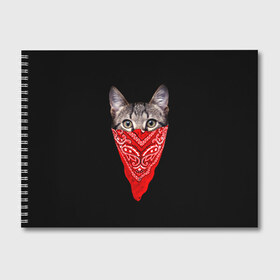Альбом для рисования с принтом Gangsta Cat в Новосибирске, 100% бумага
 | матовая бумага, плотность 200 мг. | cat | cats | gangsta | kitten | kitty | pussy | гангстер | кот | котенок | котик | котики | коты | котята | кошка | кошки | платок