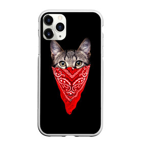 Чехол для iPhone 11 Pro матовый с принтом Gangsta Cat в Новосибирске, Силикон |  | cat | cats | gangsta | kitten | kitty | pussy | гангстер | кот | котенок | котик | котики | коты | котята | кошка | кошки | платок