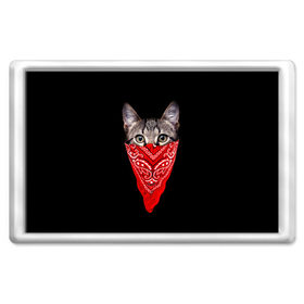 Магнит 45*70 с принтом Gangsta Cat в Новосибирске, Пластик | Размер: 78*52 мм; Размер печати: 70*45 | cat | cats | gangsta | kitten | kitty | pussy | гангстер | кот | котенок | котик | котики | коты | котята | кошка | кошки | платок