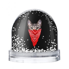 Водяной шар с принтом Gangsta Cat в Новосибирске, Пластик | Изображение внутри шара печатается на глянцевой фотобумаге с двух сторон | cat | cats | gangsta | kitten | kitty | pussy | гангстер | кот | котенок | котик | котики | коты | котята | кошка | кошки | платок