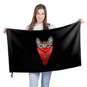 Флаг 3D с принтом Gangsta Cat в Новосибирске, 100% полиэстер | плотность ткани — 95 г/м2, размер — 67 х 109 см. Принт наносится с одной стороны | cat | cats | gangsta | kitten | kitty | pussy | гангстер | кот | котенок | котик | котики | коты | котята | кошка | кошки | платок