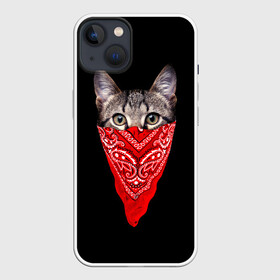 Чехол для iPhone 13 с принтом Gangsta Cat в Новосибирске,  |  | cat | cats | gangsta | kitten | kitty | pussy | гангстер | кот | котенок | котик | котики | коты | котята | кошка | кошки | платок