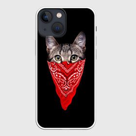 Чехол для iPhone 13 mini с принтом Gangsta Cat в Новосибирске,  |  | cat | cats | gangsta | kitten | kitty | pussy | гангстер | кот | котенок | котик | котики | коты | котята | кошка | кошки | платок