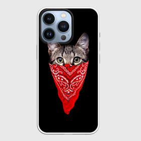 Чехол для iPhone 13 Pro с принтом Gangsta Cat в Новосибирске,  |  | cat | cats | gangsta | kitten | kitty | pussy | гангстер | кот | котенок | котик | котики | коты | котята | кошка | кошки | платок