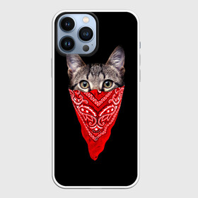 Чехол для iPhone 13 Pro Max с принтом Gangsta Cat в Новосибирске,  |  | cat | cats | gangsta | kitten | kitty | pussy | гангстер | кот | котенок | котик | котики | коты | котята | кошка | кошки | платок