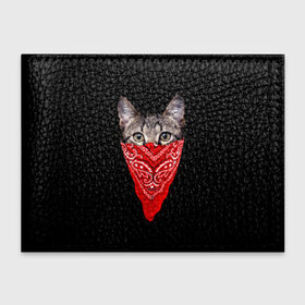 Обложка для студенческого билета с принтом Gangsta Cat в Новосибирске, натуральная кожа | Размер: 11*8 см; Печать на всей внешней стороне | cat | cats | gangsta | kitten | kitty | pussy | гангстер | кот | котенок | котик | котики | коты | котята | кошка | кошки | платок