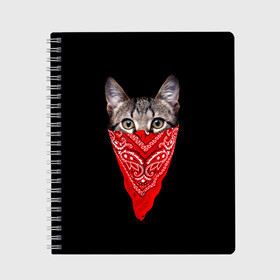 Тетрадь с принтом Gangsta Cat в Новосибирске, 100% бумага | 48 листов, плотность листов — 60 г/м2, плотность картонной обложки — 250 г/м2. Листы скреплены сбоку удобной пружинной спиралью. Уголки страниц и обложки скругленные. Цвет линий — светло-серый
 | cat | cats | gangsta | kitten | kitty | pussy | гангстер | кот | котенок | котик | котики | коты | котята | кошка | кошки | платок