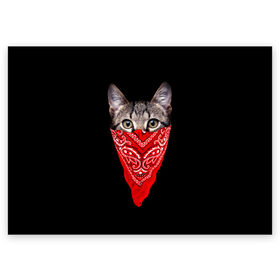 Поздравительная открытка с принтом Gangsta Cat в Новосибирске, 100% бумага | плотность бумаги 280 г/м2, матовая, на обратной стороне линовка и место для марки
 | cat | cats | gangsta | kitten | kitty | pussy | гангстер | кот | котенок | котик | котики | коты | котята | кошка | кошки | платок