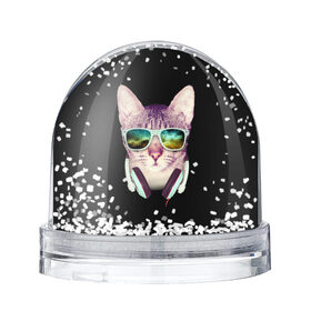 Водяной шар с принтом Кот в Наушниках в Новосибирске, Пластик | Изображение внутри шара печатается на глянцевой фотобумаге с двух сторон | cat | cats | kitten | kitty | pussy | диджей | кот | котенок | котик | котики | коты | котята | кошка | кошки | наушники | очки