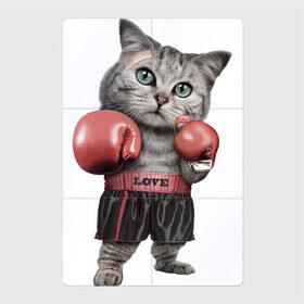 Магнитный плакат 2Х3 с принтом Кот боксёр в Новосибирске, Полимерный материал с магнитным слоем | 6 деталей размером 9*9 см | боец | бокс | боксёр | кот | котёнок | кошак | кошка | кулак | спорт | шорты