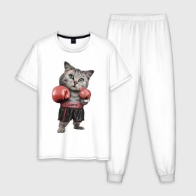 Мужская пижама хлопок с принтом Кот боксёр в Новосибирске, 100% хлопок | брюки и футболка прямого кроя, без карманов, на брюках мягкая резинка на поясе и по низу штанин
 | Тематика изображения на принте: боец | бокс | боксёр | кот | котёнок | кошак | кошка | кулак | спорт | шорты
