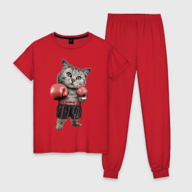Женская пижама хлопок с принтом Кот боксёр в Новосибирске, 100% хлопок | брюки и футболка прямого кроя, без карманов, на брюках мягкая резинка на поясе и по низу штанин | боец | бокс | боксёр | кот | котёнок | кошак | кошка | кулак | спорт | шорты