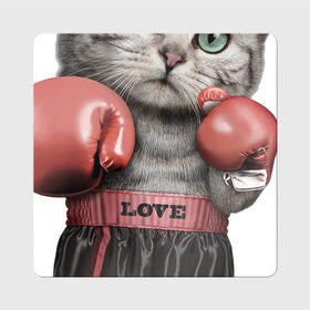 Магнит виниловый Квадрат с принтом Кот боксёр в Новосибирске, полимерный материал с магнитным слоем | размер 9*9 см, закругленные углы | боец | бокс | боксёр | кот | котёнок | кошак | кошка | кулак | спорт | шорты