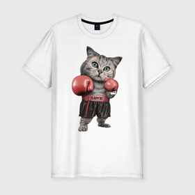 Мужская футболка премиум с принтом Кот боксёр в Новосибирске, 92% хлопок, 8% лайкра | приталенный силуэт, круглый вырез ворота, длина до линии бедра, короткий рукав | Тематика изображения на принте: боец | бокс | боксёр | кот | котёнок | кошак | кошка | кулак | спорт | шорты