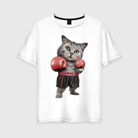 Женская футболка хлопок Oversize с принтом Кот боксёр в Новосибирске, 100% хлопок | свободный крой, круглый ворот, спущенный рукав, длина до линии бедер
 | боец | бокс | боксёр | кот | котёнок | кошак | кошка | кулак | спорт | шорты